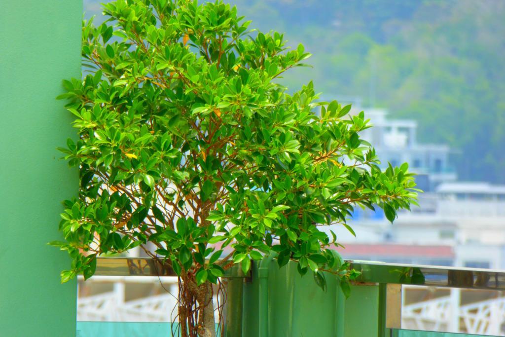 Add Plus Hotel & Spa Patong Exteriér fotografie